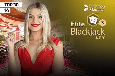 Holigan Blackjack4